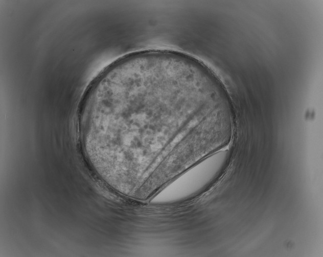 X0000094461271200712061215