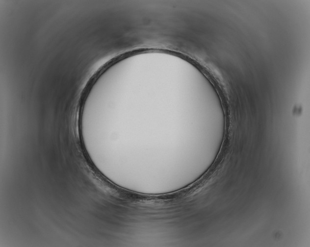 X0000094461272200712061215