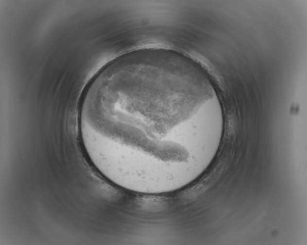 X0000094461274200712061215