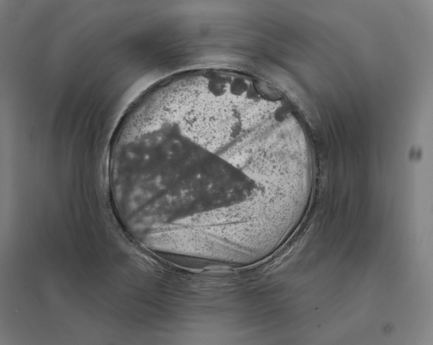 X0000094461275200712061215