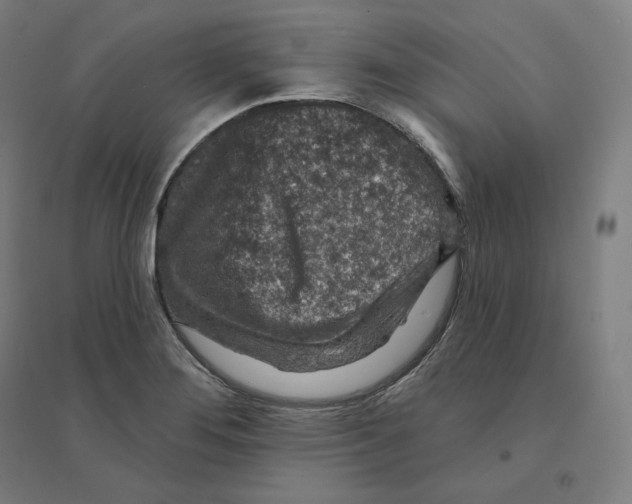 X0000094461276200712061215