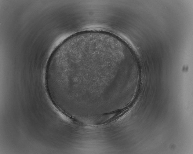 X0000094461277200712061215