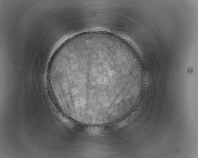 X0000094461278200712061215