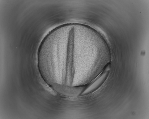 X0000094461280200712061215