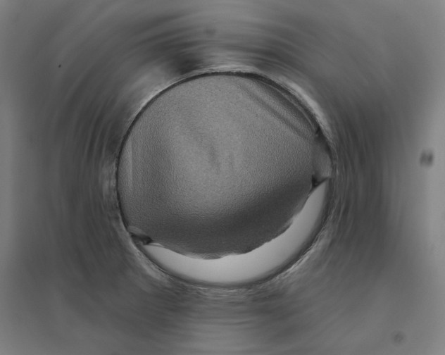 X0000094461281200712061215