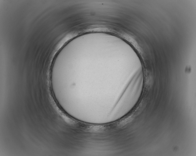 X0000094461282200712061215