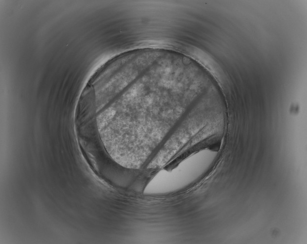 X0000094461283200712061215