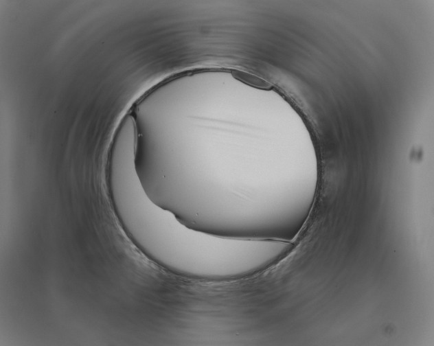 X0000094461284200712061215