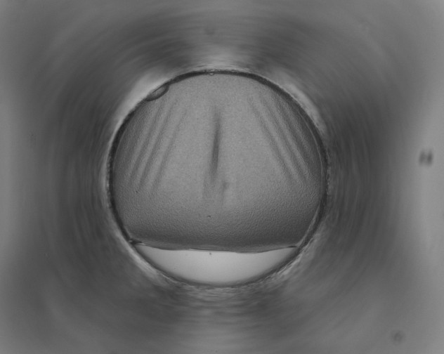 X0000094461285200712061215