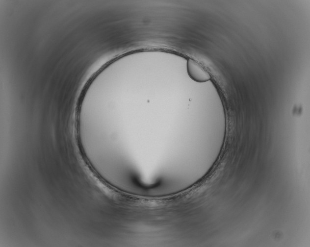 X0000094461286200712061215