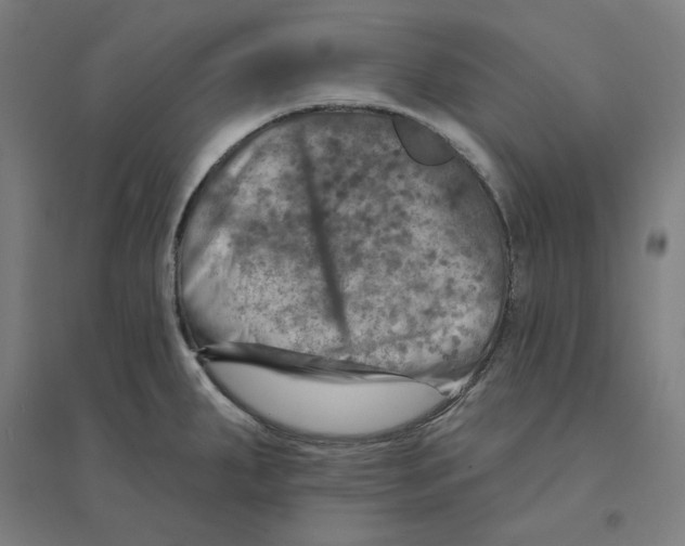 X0000094461287200712061215