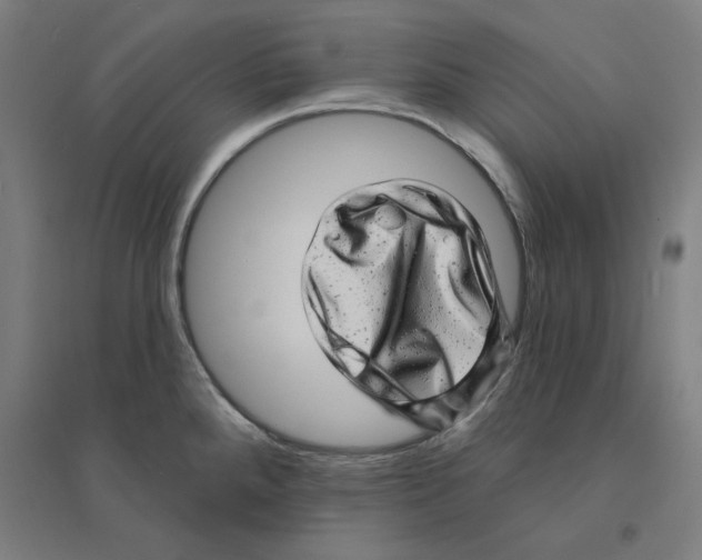 X0000094461288200712061215