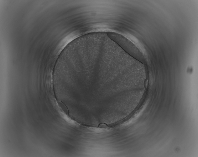 X0000094461289200712061215