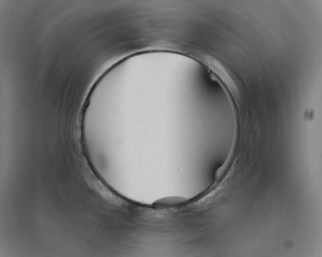 X0000094461292200712061215