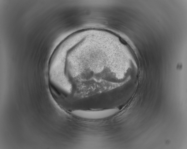 X0000094461295200712061215