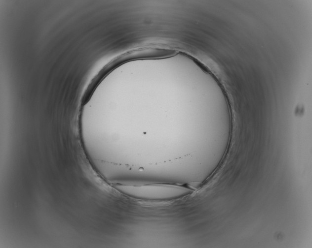 X0000094461296200712061215