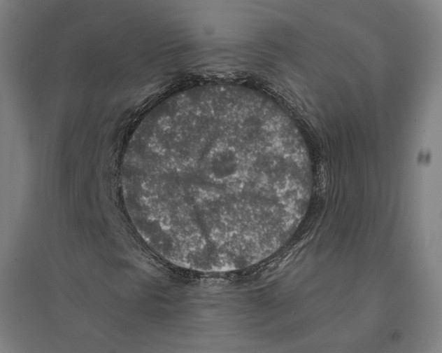 X0000094461297200712061214