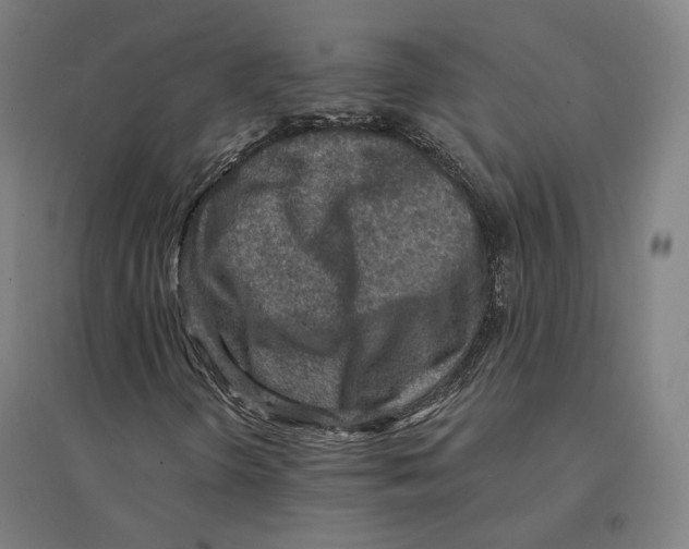 X0000094461298200712061214