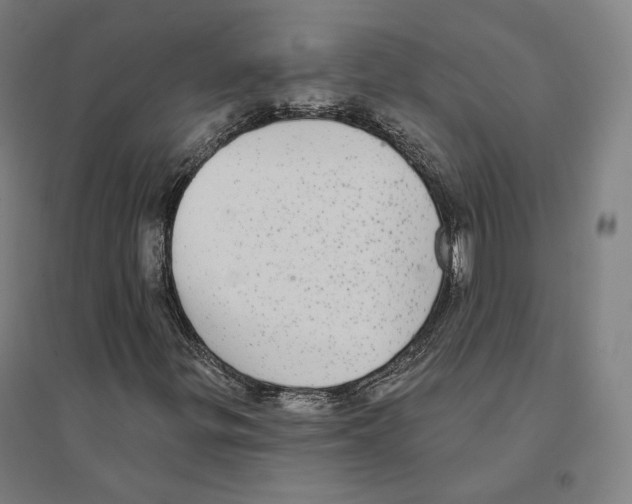 X0000094461299200712061214