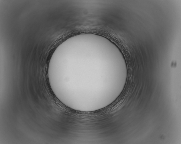 X0000094461300200712061214