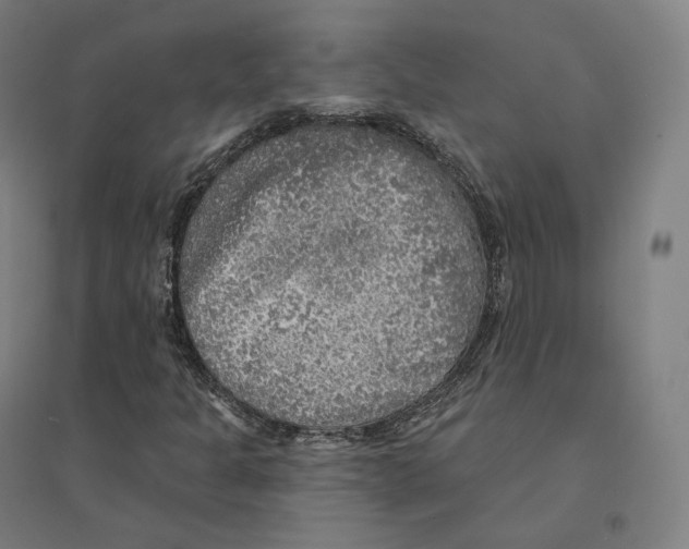 X0000094461301200712061214