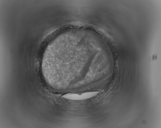 X0000094461302200712061214