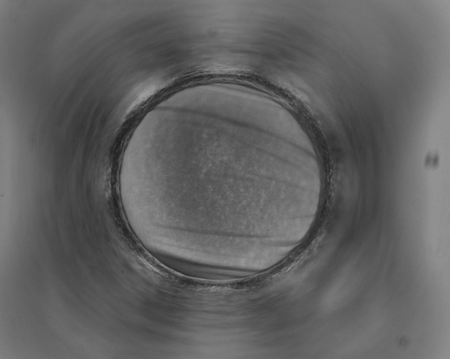 X0000094461306200712061214