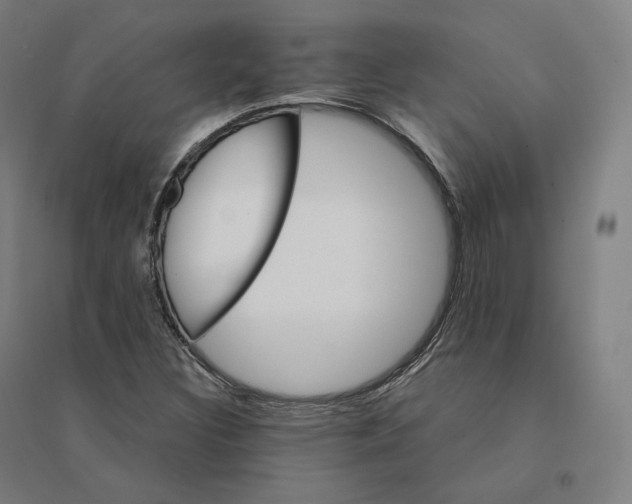 X0000094461308200712061214