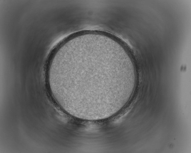 X0000094461311200712061214