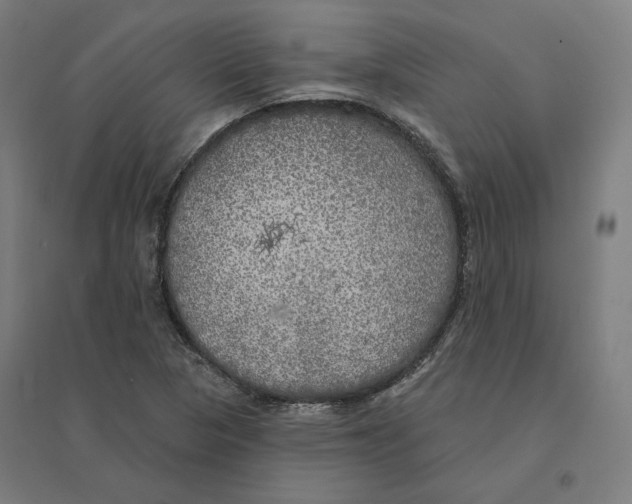 X0000094461313200712061214