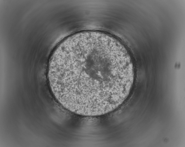 X0000094461314200712061214