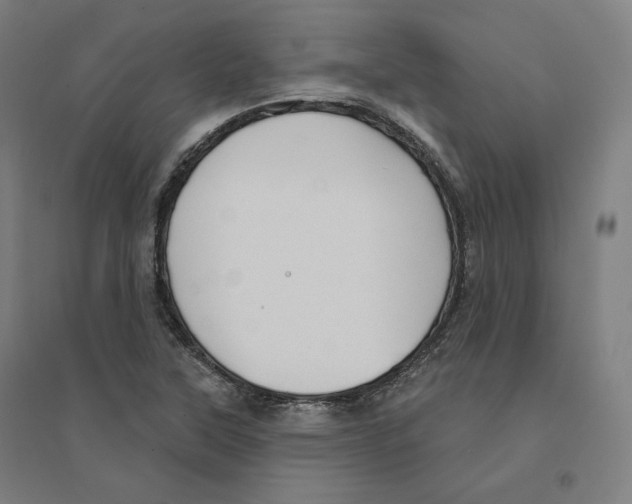 X0000094461315200712061214