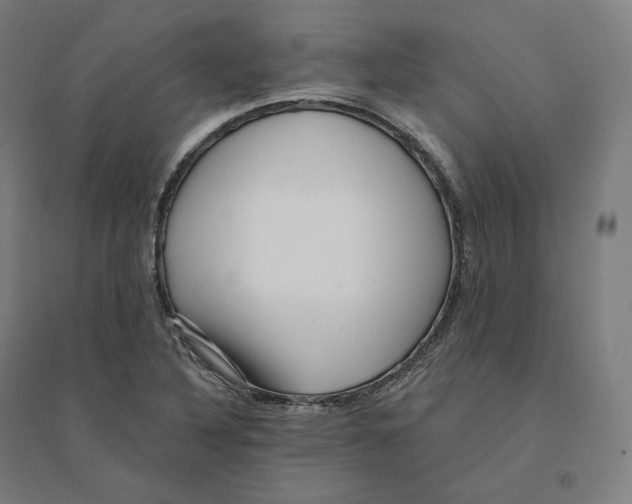 X0000094461316200712061214