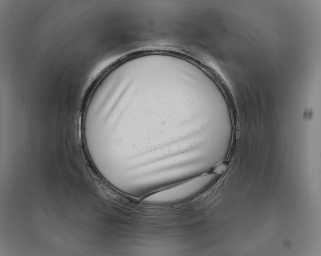 X0000094461320200712061214