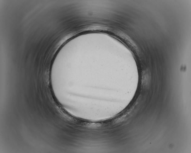 X0000094461321200712061214