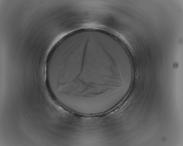 X0000094461323200712061214