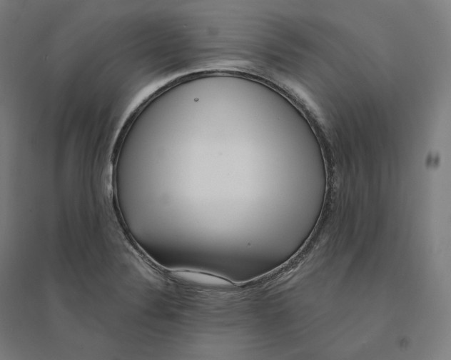 X0000094461324200712061214