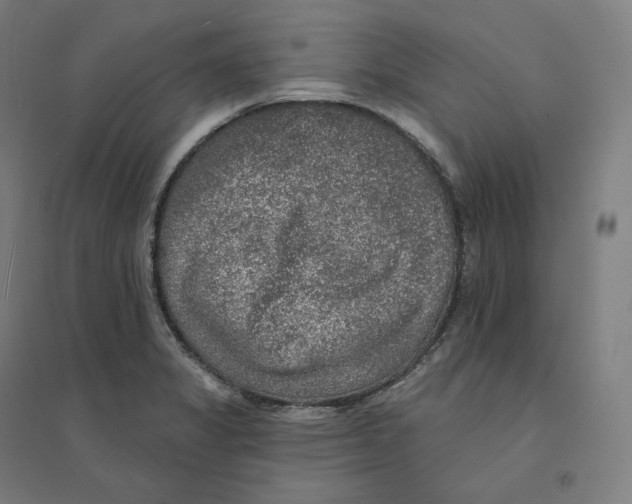 X0000094461325200712061214