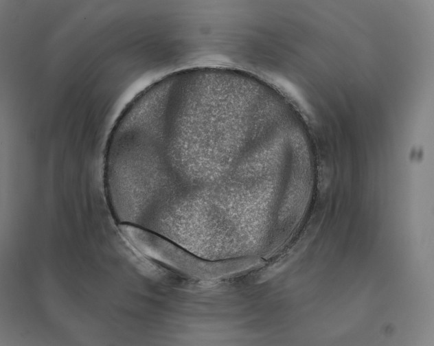 X0000094461326200712061214