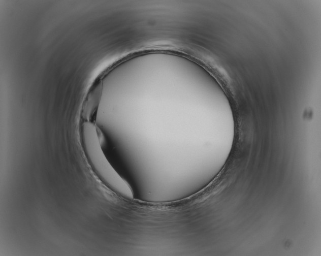 X0000094461328200712061214