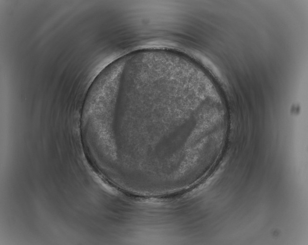 X0000094461329200712061214