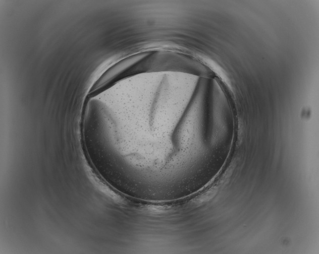 X0000094461330200712061214