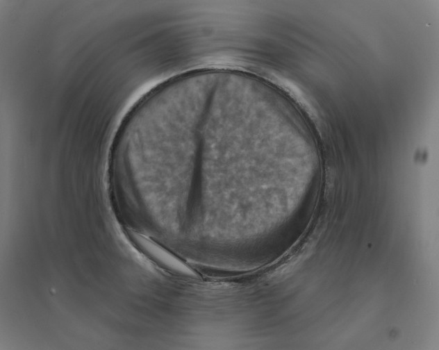 X0000094461331200712061214