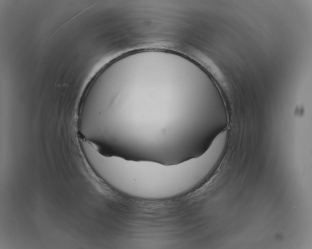 X0000094461332200712061214