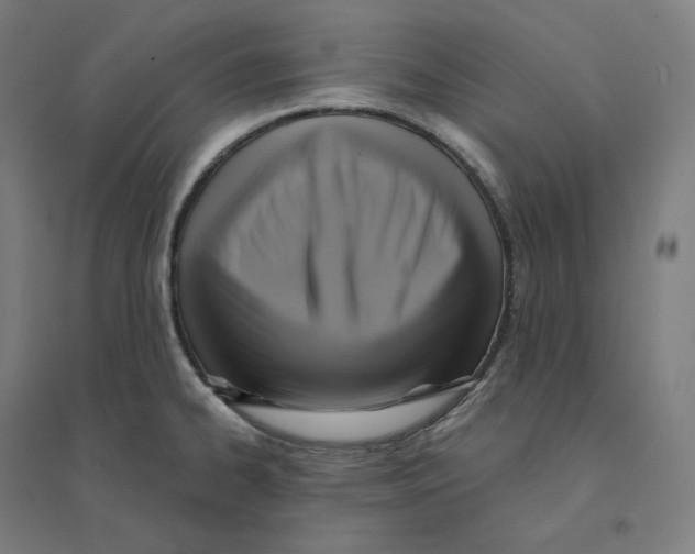 X0000094461334200712061214