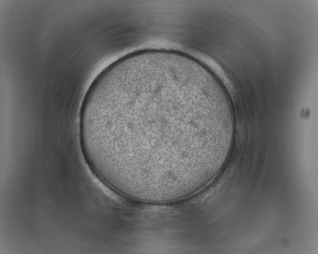 X0000094461335200712061214