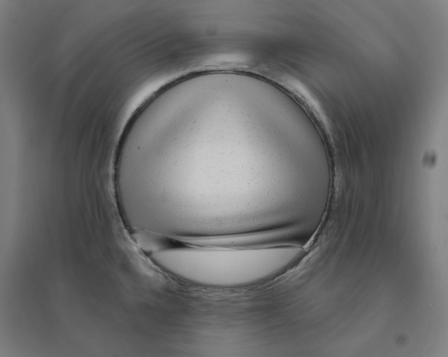 X0000094461336200712061214