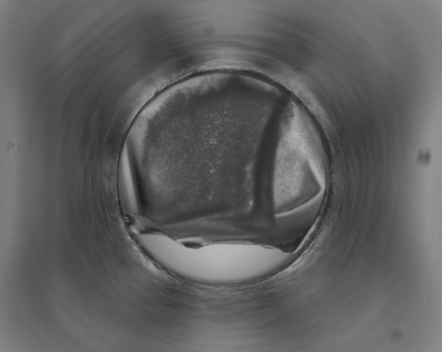 X0000094461337200712061214