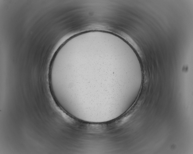 X0000094461339200712061214