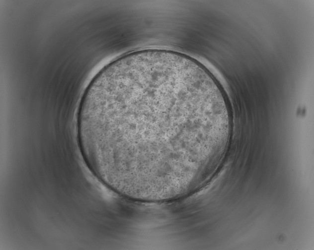 X0000094461341200712061214